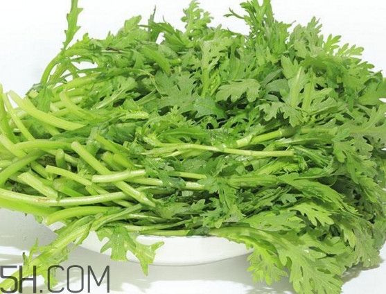 皇帝菜性寒吗,皇帝菜寒性还是热性