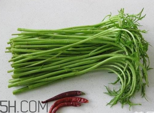 藜蒿和水芹菜的区别,藜蒿是水芹菜吗