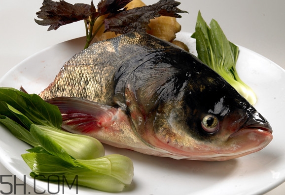 胖头鱼处理方法,怎么收拾胖头鱼