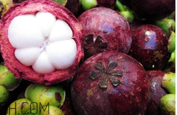 山竹可以泡酒吗,山竹泡酒的做法和功效