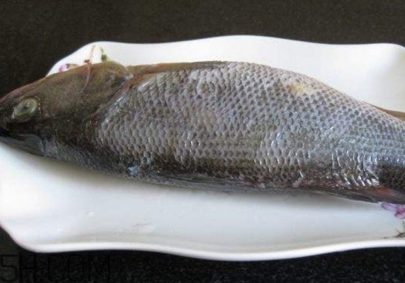 高白鲑鱼的营养价值,帝王鲑鱼的营养价值 高白鲑鱼的营养价值,帝王鲑鱼的营养价值