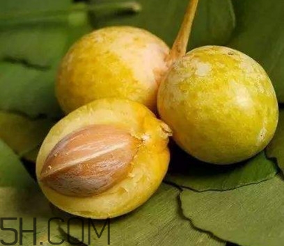 白果熟了是什么样子的,白果熟了是什么颜色