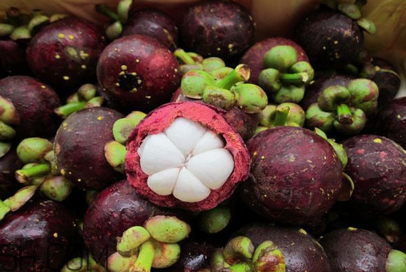 山竹软的好还是硬的好?,山竹挑硬的还是软的