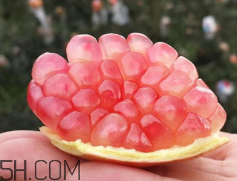 甜石榴籽的功效和作用,石榴籽有什么好处