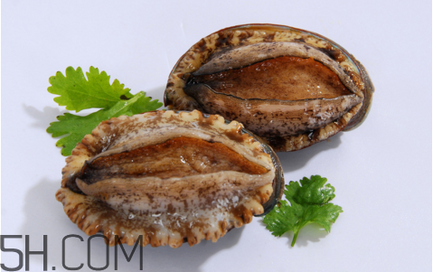 鲍鱼是发物吗?,鲍鱼是发物吗哪些人不能吃鲍鱼