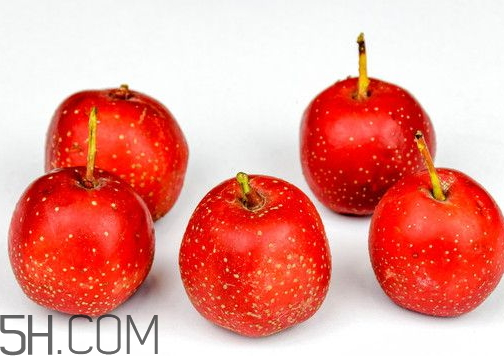 新鲜的山楂怎么吃最好,山楂干泡水的功效和作用