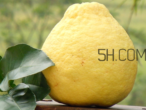 广西沙田柚哪里的最正宗,正宗梅州沙田柚图片