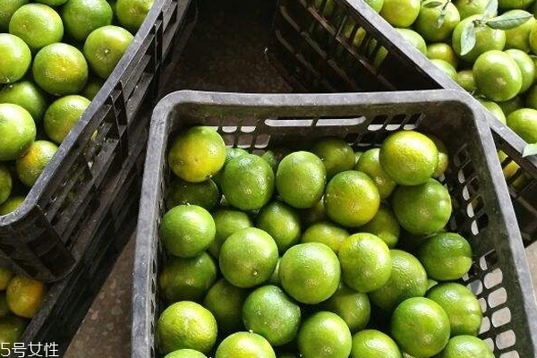 皇帝柑的皮可以泡水喝吗,皇帝柑的皮怎么吃 皇帝柑的皮可以泡水喝吗,皇帝柑的皮怎么吃