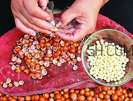 芡实是哪里的特产,芡实是哪里的特产天长