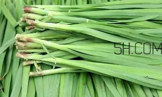 吃韭菜的好处和功效,吃韭菜的好处和坏处 吃韭菜的好处和功效,吃韭菜的好处和坏处