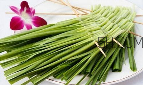 吃韭菜有什么禁忌,吃韭菜的好处以及一些禁忌 吃韭菜有什么禁忌,吃韭菜的好处以及一些禁忌