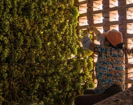 葡萄干是酸性还是碱性食物,葡萄干是酸性还是碱性水果