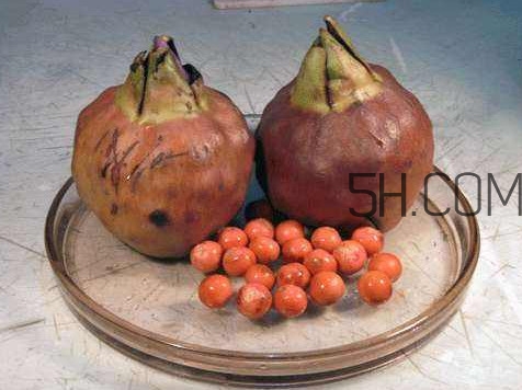 鸡头米怎么挑选,什么样的鸡头米比较好