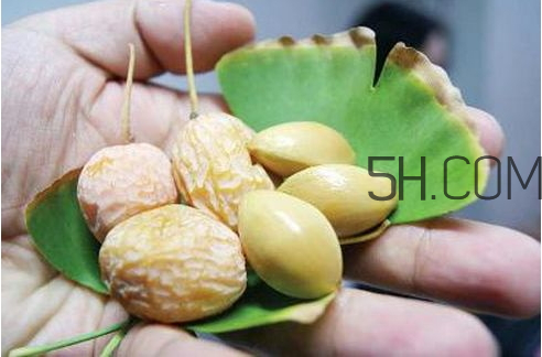 银杏果怎么吃不苦,银杏果是苦的能吃吗