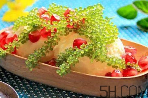 海葡萄种植,海葡萄生长环境