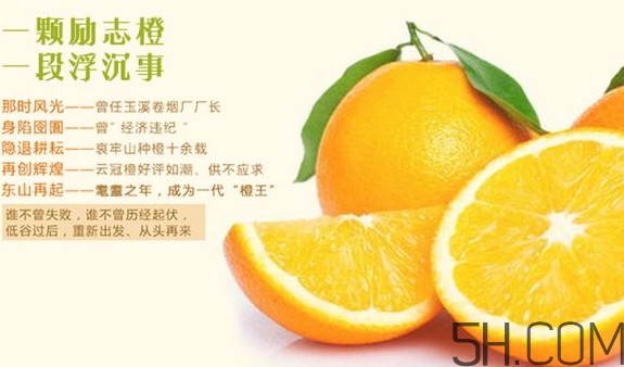 褚橙是哪里产的?价格贵吗?,褚橙多少钱一斤褚橙为什么这么贵