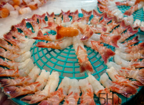 如何挑选海虾视频,如何挑选海虾和淡水虾的区别