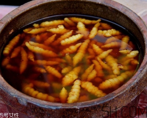 螺丝菜的种植方法视频教程,螺丝菜的种植方法 螺丝菜的种植方法视频教程,螺丝菜的种植方法