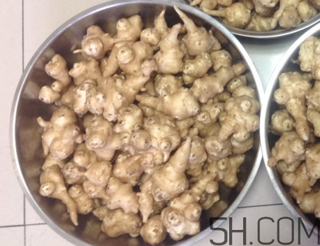 怎样腌制鬼子姜又脆又好吃,腌制鬼子姜的最好做法 怎样腌制鬼子姜又脆又好吃,腌制鬼子姜的最好做法