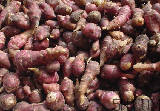 鬼子姜怎么吃好吃,鬼子姜怎么吃?