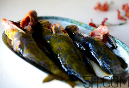 黄骨鱼不能和什么一起吃/同吃,黄骨鱼不能和什么一起吃香哈菜谱