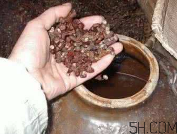 拐枣泡酒方法,拐枣泡酒的功效和作用,拐枣泡酒的功效是什么