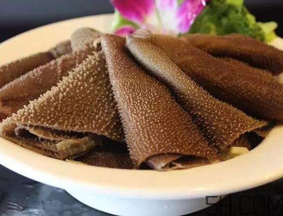 毛肚是什么动物身上的,毛肚是什么动物身上的什么部位