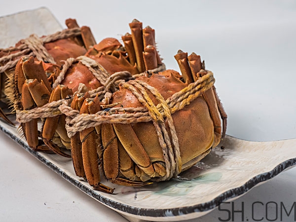 大闸蟹是不是凉性食物,凉的大闸蟹可以吃吗 大闸蟹是不是凉性食物,凉的大闸蟹可以吃吗