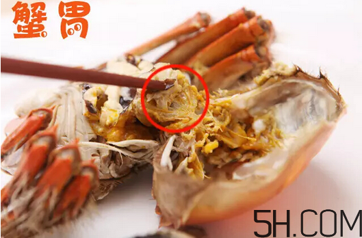 买螃蟹怎样挑选什么样的好,螃蟹选购技巧