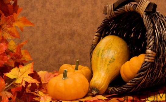 秋天吃南瓜的好处,秋天吃南瓜的好处和坏处