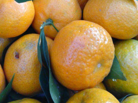 全国沙糖桔批发市场最新价格,广西沙糖桔多少钱一斤批发