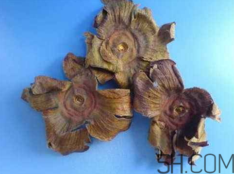 柿蒂治打嗝多久见效,柿子蒂可以治打嗝吗 柿蒂治打嗝多久见效,柿子蒂可以治打嗝吗