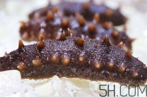 如何分辨海参的优劣,海参的优劣