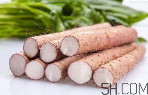 冬天多吃山药有什么好处,冬天吃山药好不好 冬天多吃山药有什么好处,冬天吃山药好不好