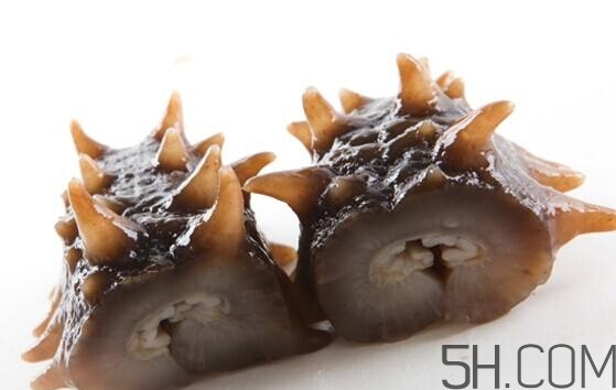 搞海参是什么意思,其中我知道海参又叫什么