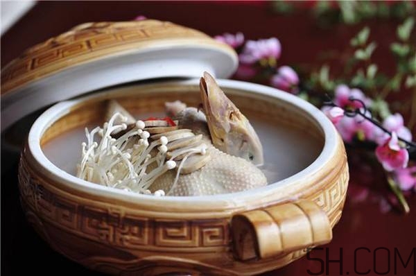 海参鸭肉汤的做法,海参鸭汤的做法