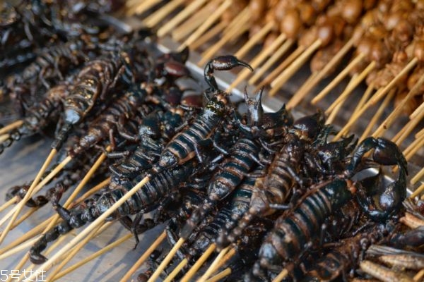 全蝎有什么服用注意吗(全蝎怎么服用)