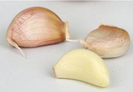 大蒜钓鱼的最佳方法是怎么钓?,大蒜钓鱼秘籍