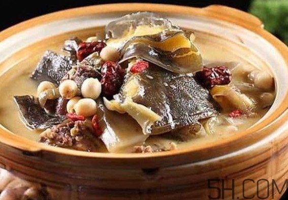 甲鱼汤的做法,猪脚鱼汤的做法