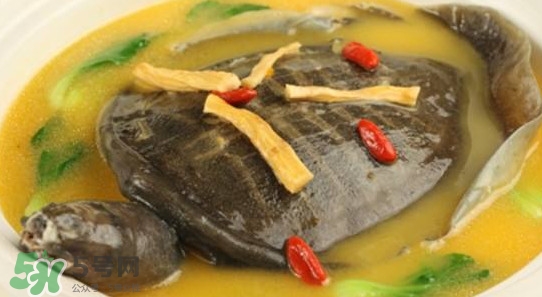 吃鱼肉的好处,甲鱼有什么营养 吃鱼肉的好处,甲鱼有什么营养