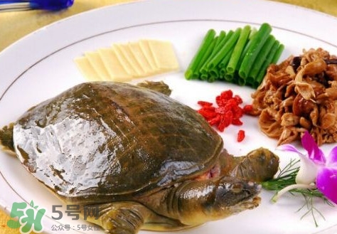 甲鱼孕妇能不能吃,孕妇不能吃甲鱼吗