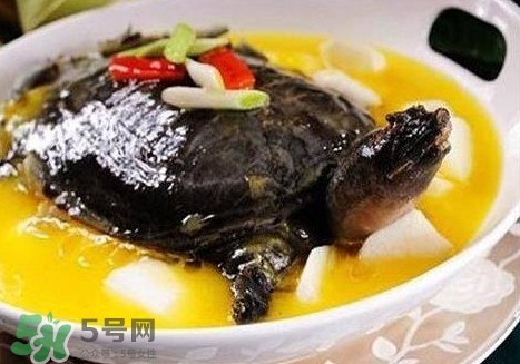 甲鱼是发物吗?,甲鱼是发物吗 有炎症可以吃吗