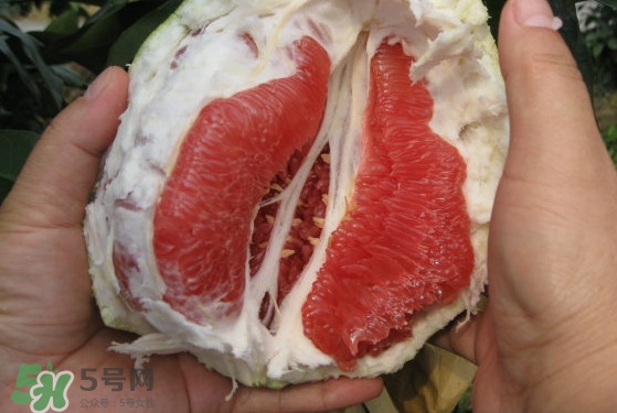 红肉蜜柚怎么挑选,红肉蜜柚和红心柚区别