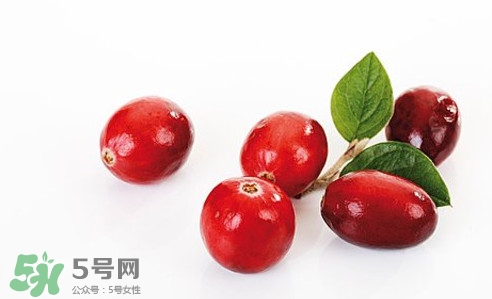 蔓越莓一般多少钱一斤,蔓越莓的价格