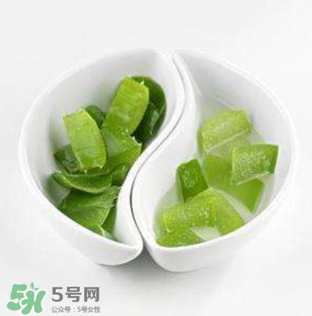 芦荟炒肉丝能不能吃,芦荟肉可以吃吗 芦荟炒肉丝能不能吃,芦荟肉可以吃吗