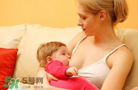 螺旋藻保健功效,螺旋藻的保健作用
