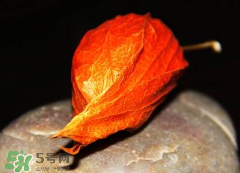 糖尿病吃什么好得最快,糖尿病吃什么好消化还不升血糖