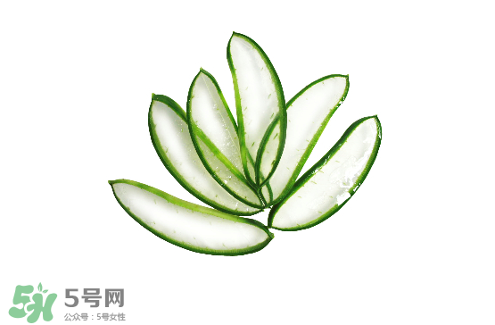 芦荟泡酒的功效和作用,芦荟泡酒的功效和作用及食用方法