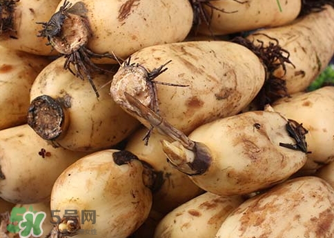 怎么挑选莲藕是绵还是脆,怎么挑选莲藕粉的