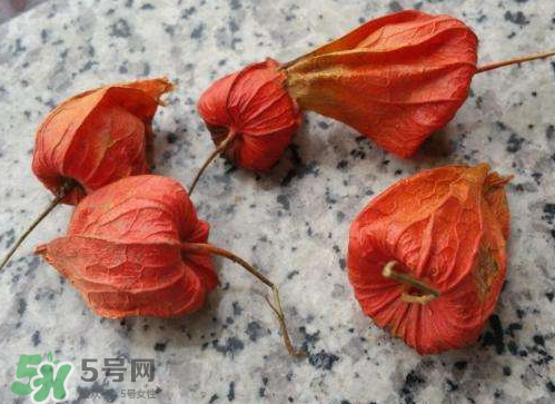 红姑娘皮泡水切记用量,红姑娘皮泡水的方法 红姑娘皮泡水切记用量,红姑娘皮泡水的方法